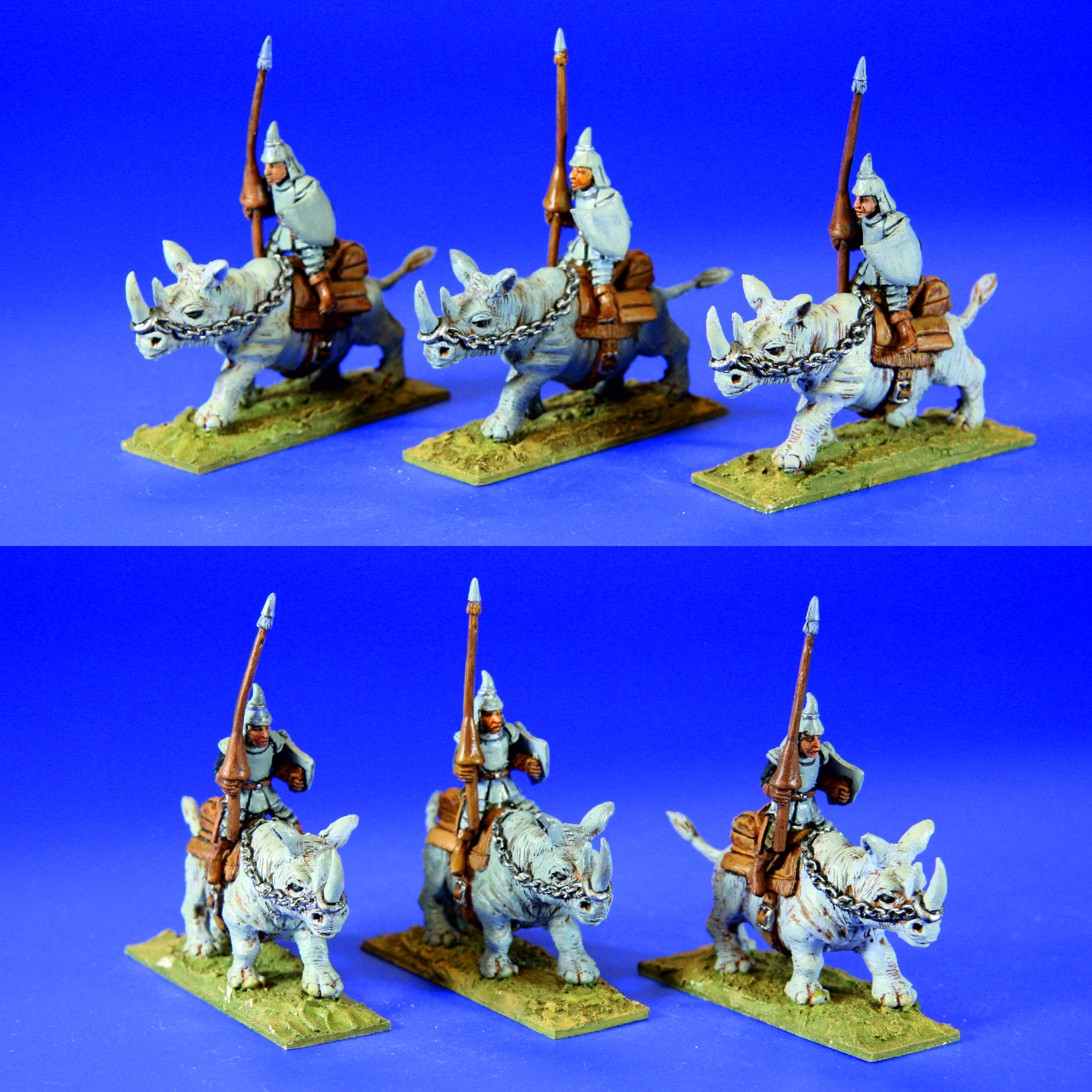 Rhinos6