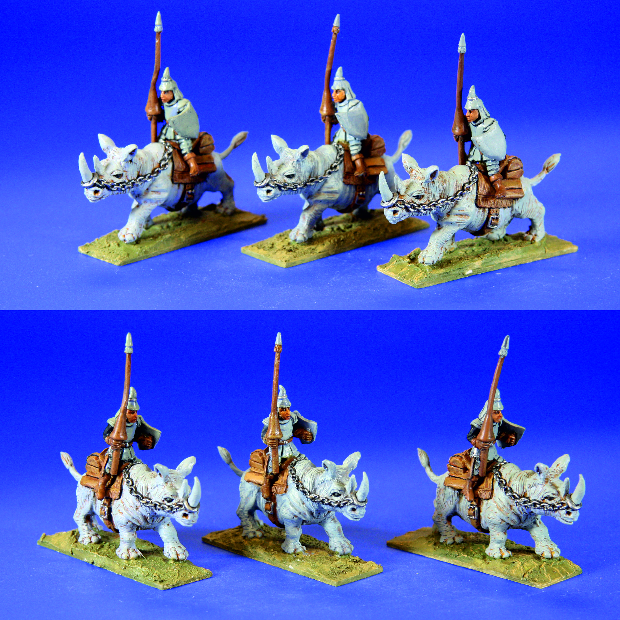 Rhinos7
